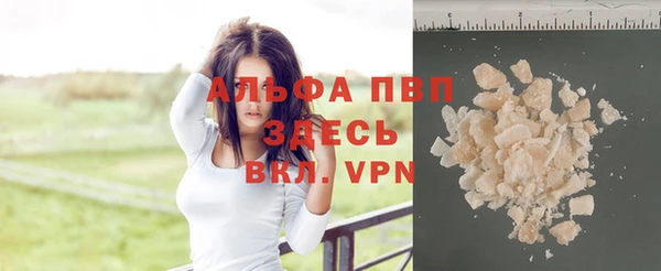 Альфа ПВП Новозыбков