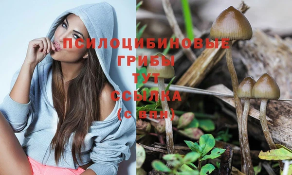прущая мука Арсеньев