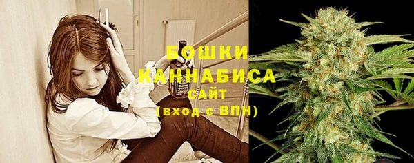 ECSTASY Армянск
